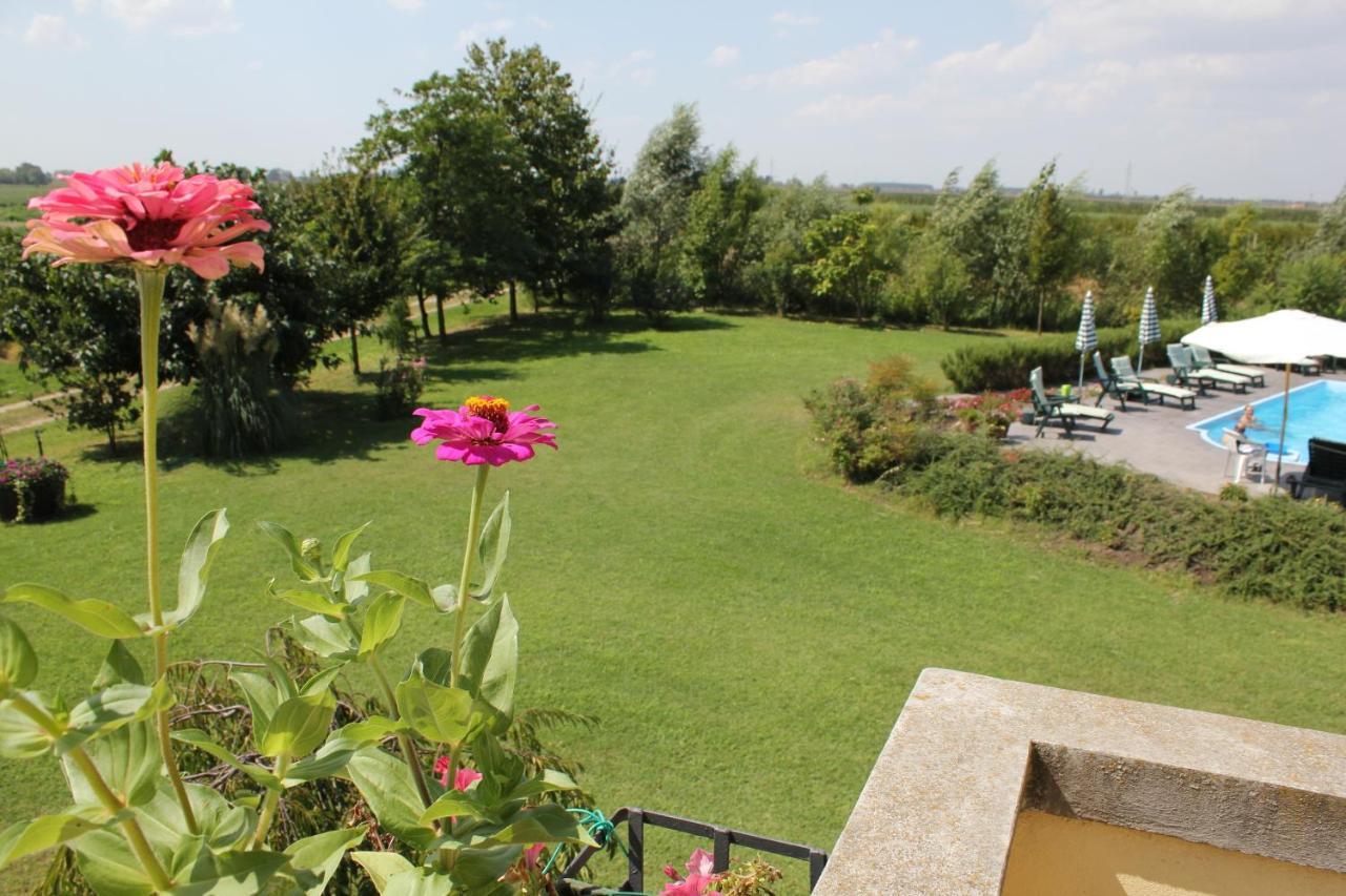 Farm stay Agriturismo Corte Carezzabella